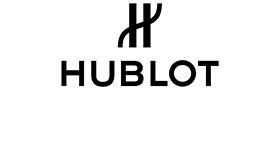 hublot acquired by lvmh|LVMH acquisition examples.